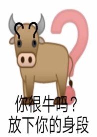 不负韶华