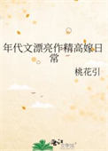 大宋悍臣
