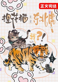 综武：老子天下第一