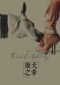 异界重生之打造快乐人生