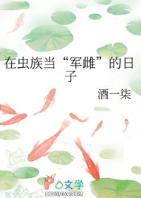 有凤来袭