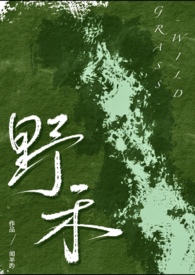 巫师by暴躁的螃蟹