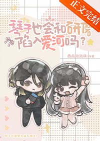 精灵冠军系统