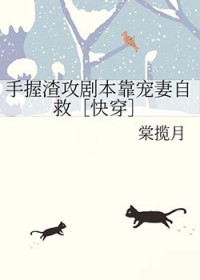 星际猎人