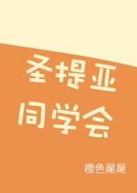 神奇宝贝：大师系统