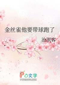 星穹铁道：铁皮垃圾桶之梦