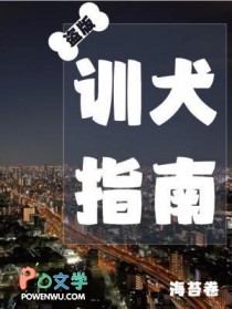 黑市极光