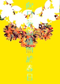 再起南风