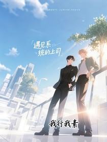 遇见系统的上司