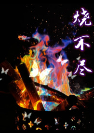 我一个明星，搞点副业很合理吧？