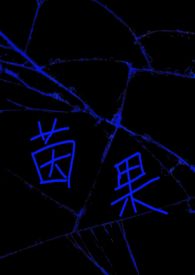 《直面慾望，方见真我》