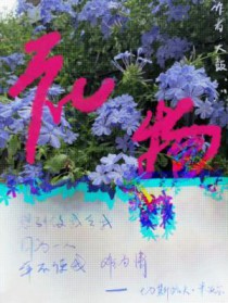 末世！重生成猫后我被大佬饲养了