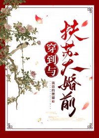 穿书：我携空间勇闯末世