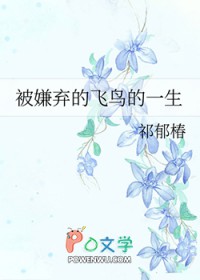 我的神奇宝贝传说