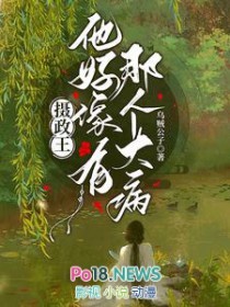 我介绍给你们的作品小说