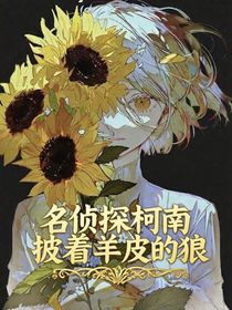 名侦探柯南：披着羊皮的狼