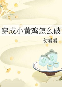 神奇宝贝：使者