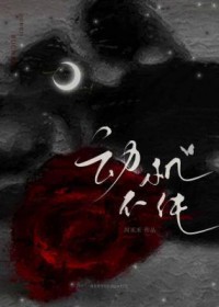 TNT：心地