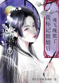 重生：我老婆是天后