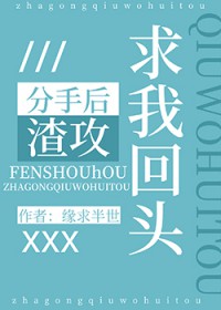 宦海争锋：从底层到政场巨霸！