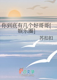 续弦小夫人