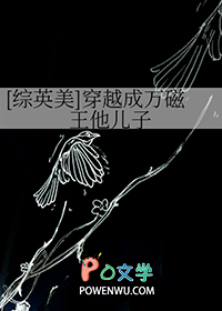 官路迷局