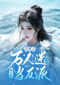 综影视：时音游记