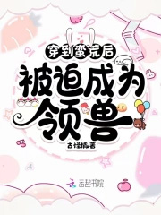 成为顶级向导后，他们死缠不放了