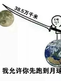 历喵星狗中华开联喜灰蛋仔