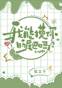 灌篮高手续集之最爱仙流