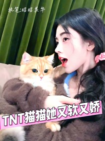 TNT：猫猫她又软又娇