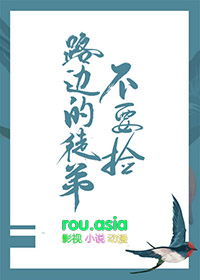 岁月尽头的礼物