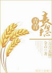 爱上霸道乞丐