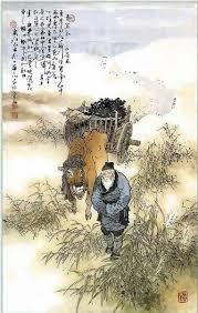 抓不住的鲸鱼尾巴