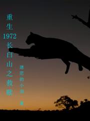 郑一官传奇：潜龙争锋