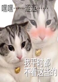 死对头的共感斐济杯