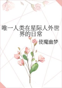 大唐最强好女婿
