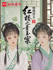 二婚痴缠