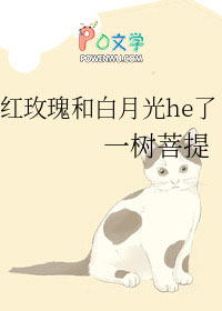 天马座的幻想