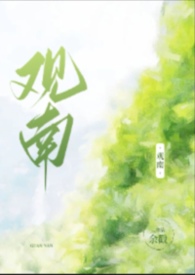 DC新氪星