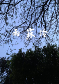骄纵小少爷下乡记