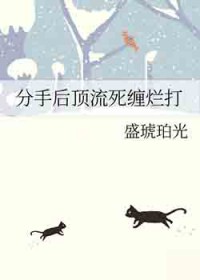 林岚秦小雅奔跑的过往