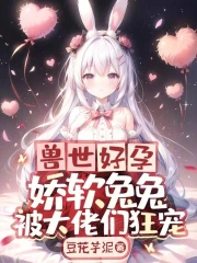 精灵之沙暴天王