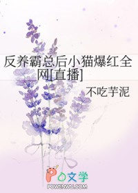 渣了正道大佬后我翻车了