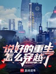 名侦探柯南之护哀天使