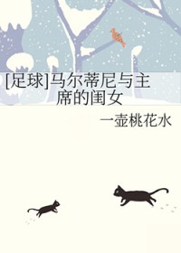 清穿之我是皇长孙