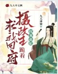 沈柏顾恒舟