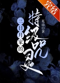 正气寻妇录